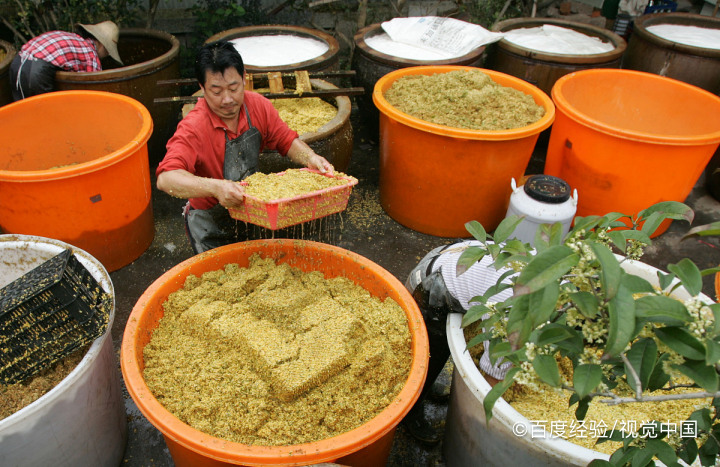 桂花泡水喝的好处