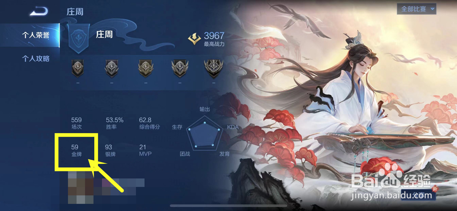 王者荣耀金牌数怎么看