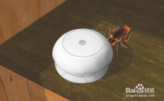 厨房有蟑螂怎么办能除根