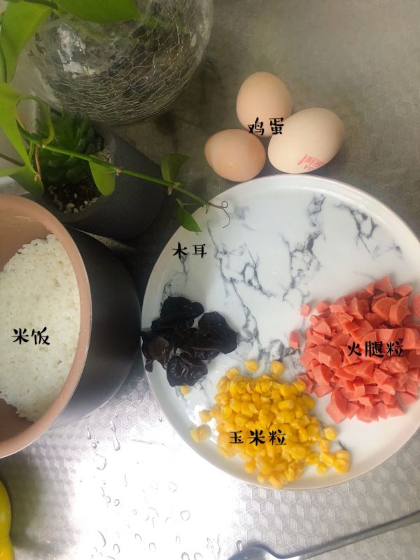 #美食视频挑战赛#黄金蛋炒饭