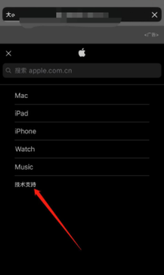 苹果手机显示已停用怎么解决