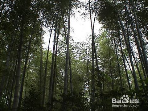 马鞍山值得去的地方
