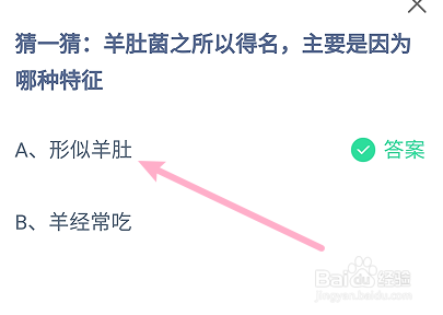 蚂蚁庄园答案羊肚菌之所以得名主要是因哪种特征