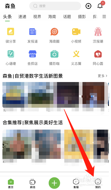 森鱼APP怎么修改认证