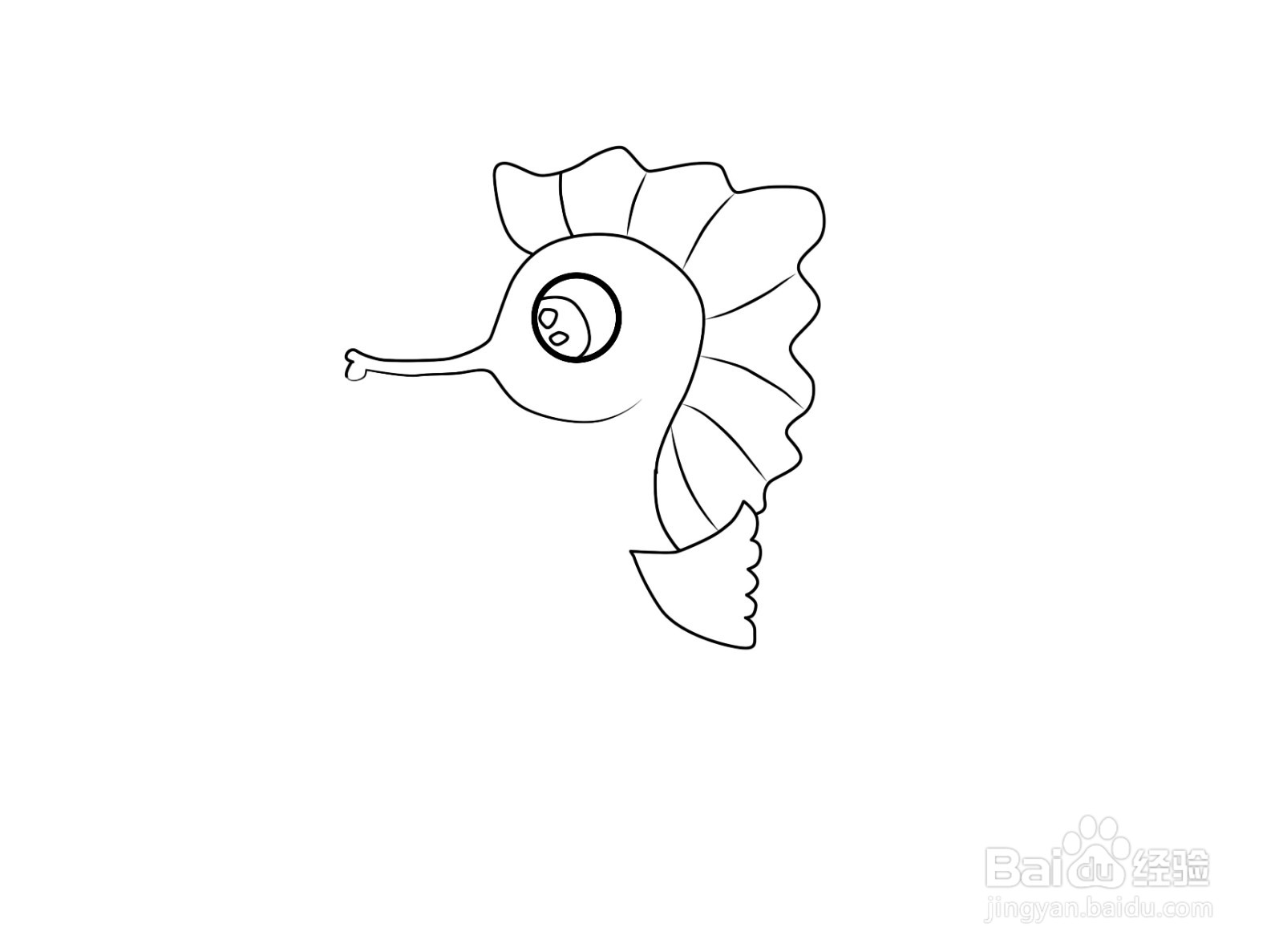 简笔画海马