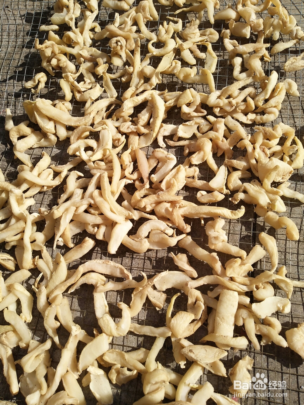 妈妈教你做自晒萝卜干