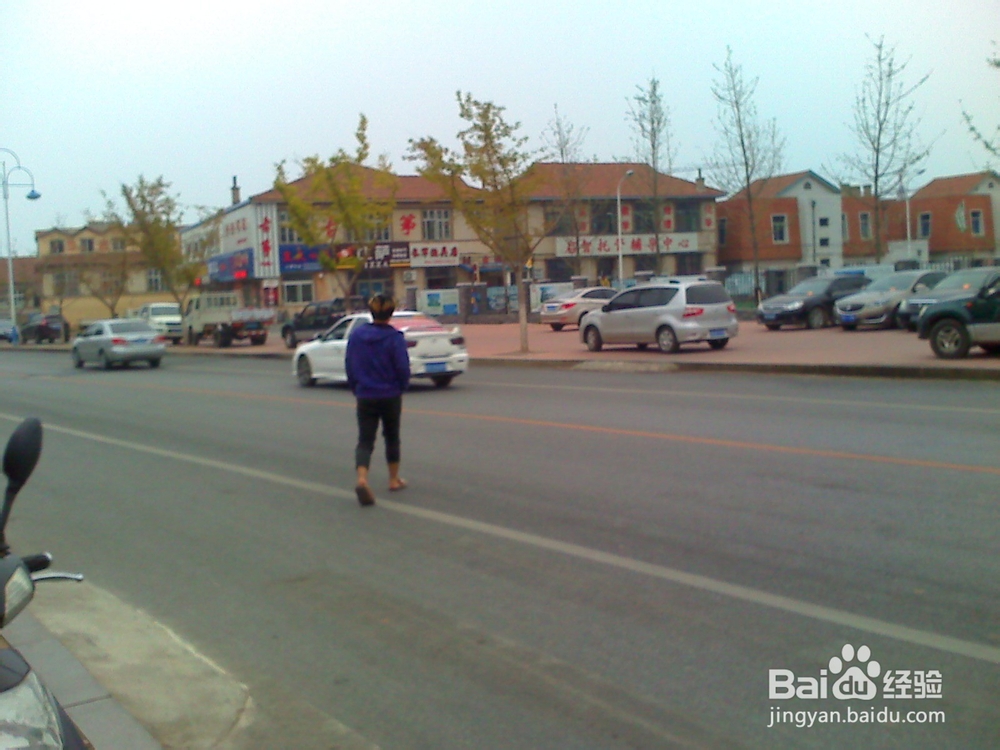 怎样告诉孩子安全过马路--138