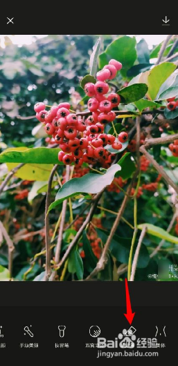 醒图如何去掉水印