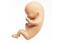 孕36周直到分娩准妈妈变化