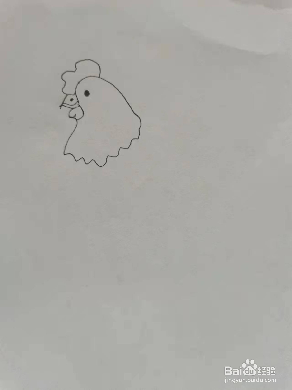 卡通大公鸡简笔画