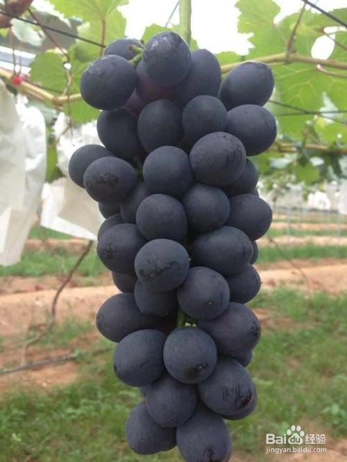 怎么让新生宝宝吃的健康？