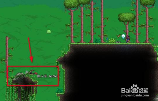 泰拉瑞亚藤蔓怎么获得