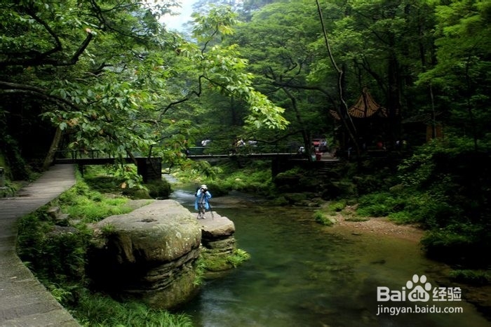 益阳到张家界旅游攻略