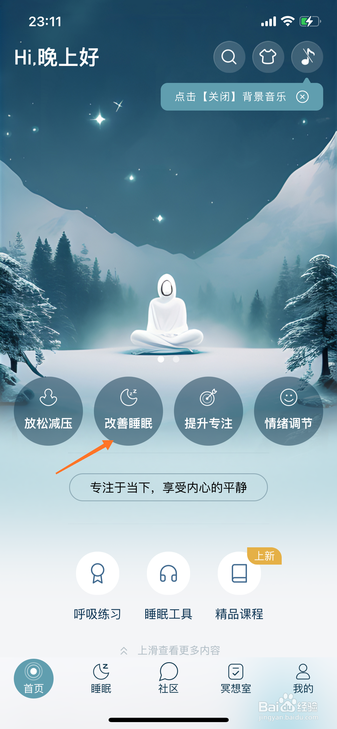 每日冥想中哪里练习森林花园