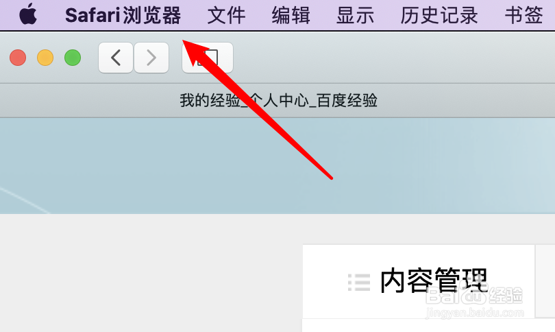 mac,safari浏览器,如何查看网站保存的密码