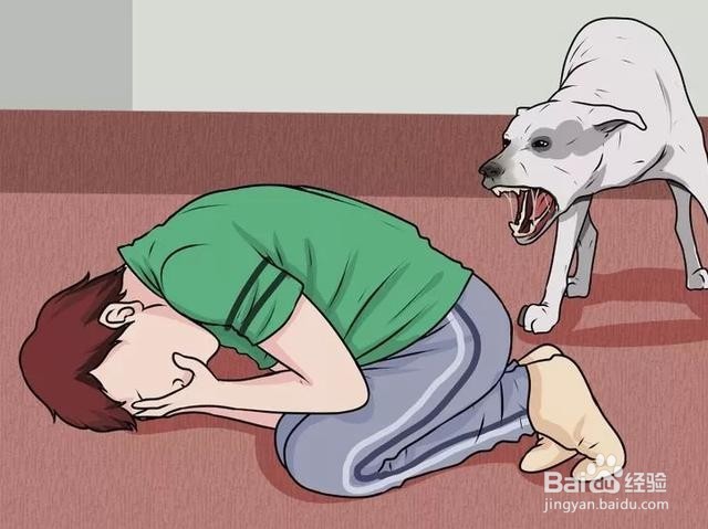 如何防止被疯狗追,以及应对措施