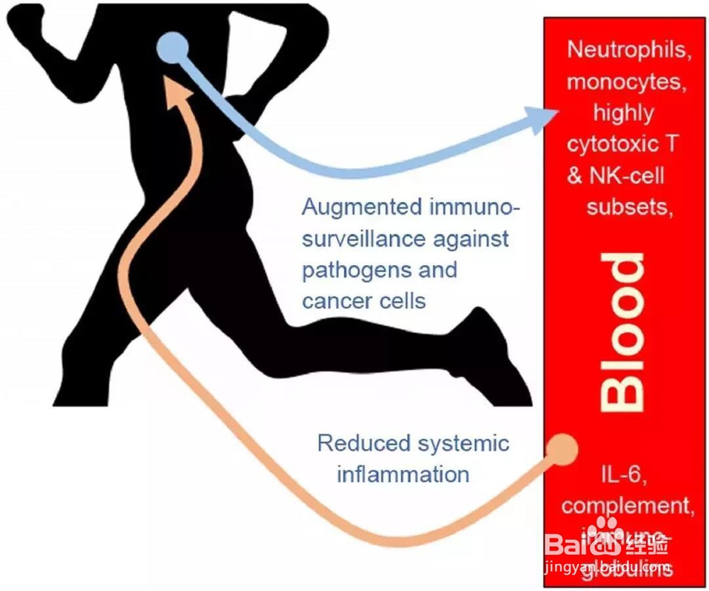 【睿莱体测】儿童如何通过运动促进身体健康?