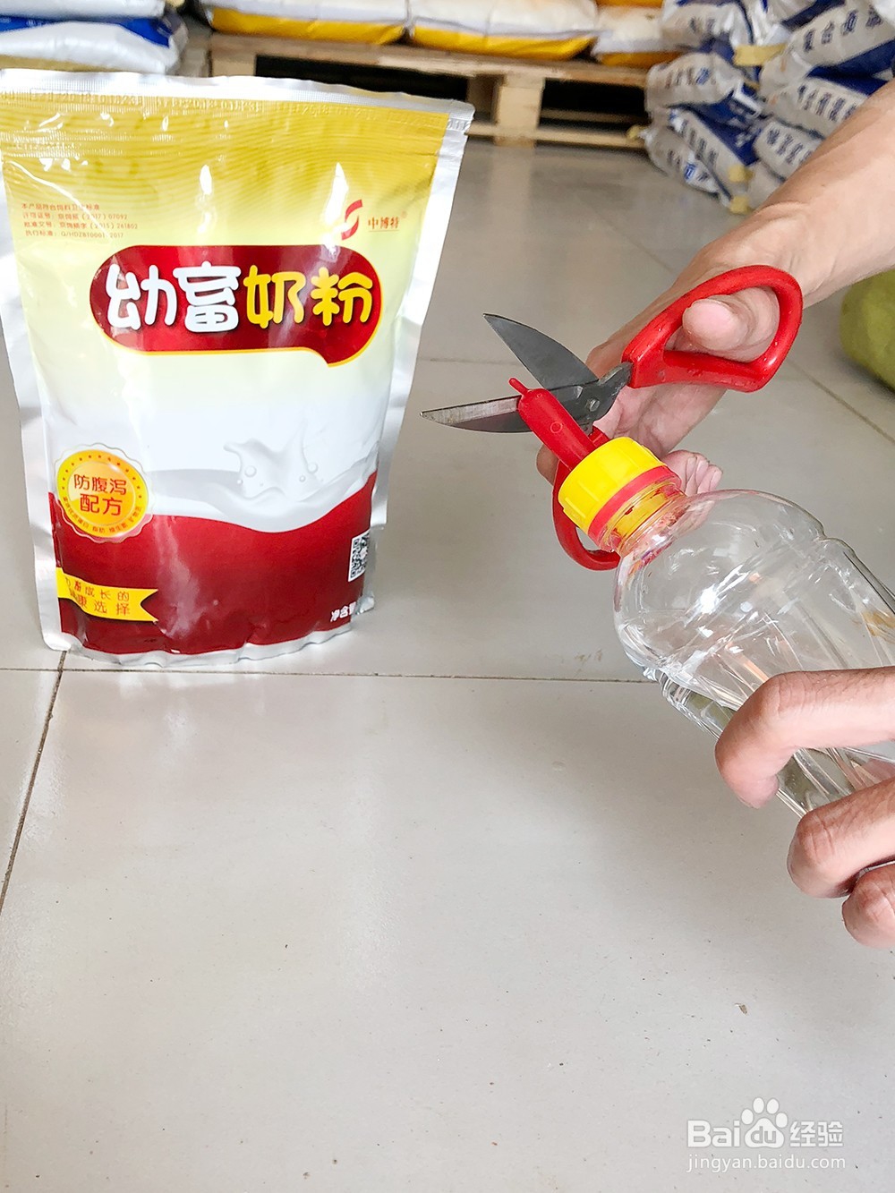 如何正确使用小猪奶粉喂养小猪