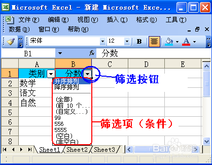 excel怎么筛选