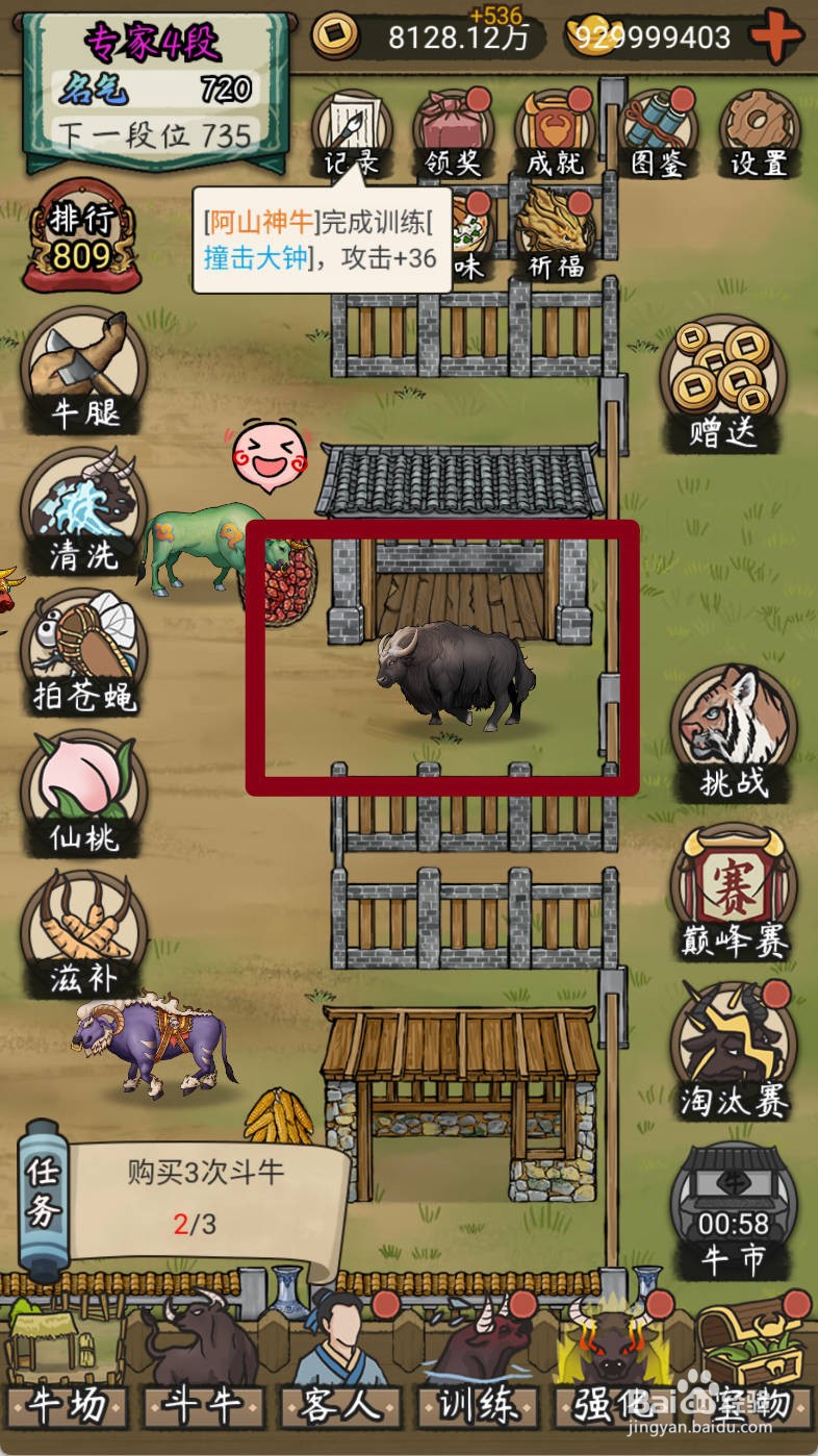 叫我养牛王如何购买害怕过年的长毛牛