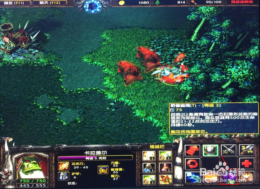 冰封王座兽族先知的一些使用小技巧和攻略。