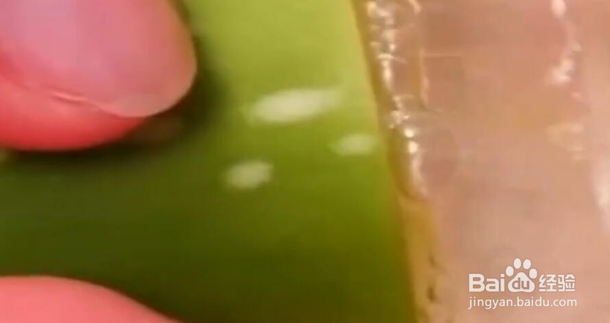 如何使用芦荟胶的隐藏功能