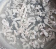 皮蛋瘦肉粥的做法(简单易学,适合情侣一起)