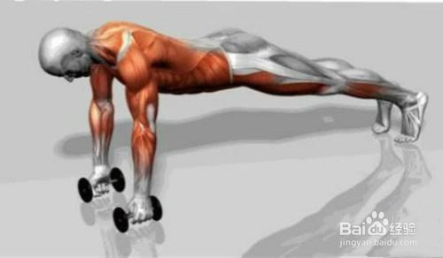 腰痛的运动缓解及腰椎间盘突出的预防