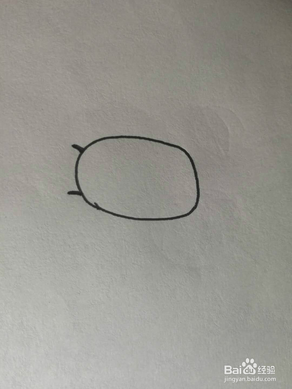简笔画七星小瓢虫