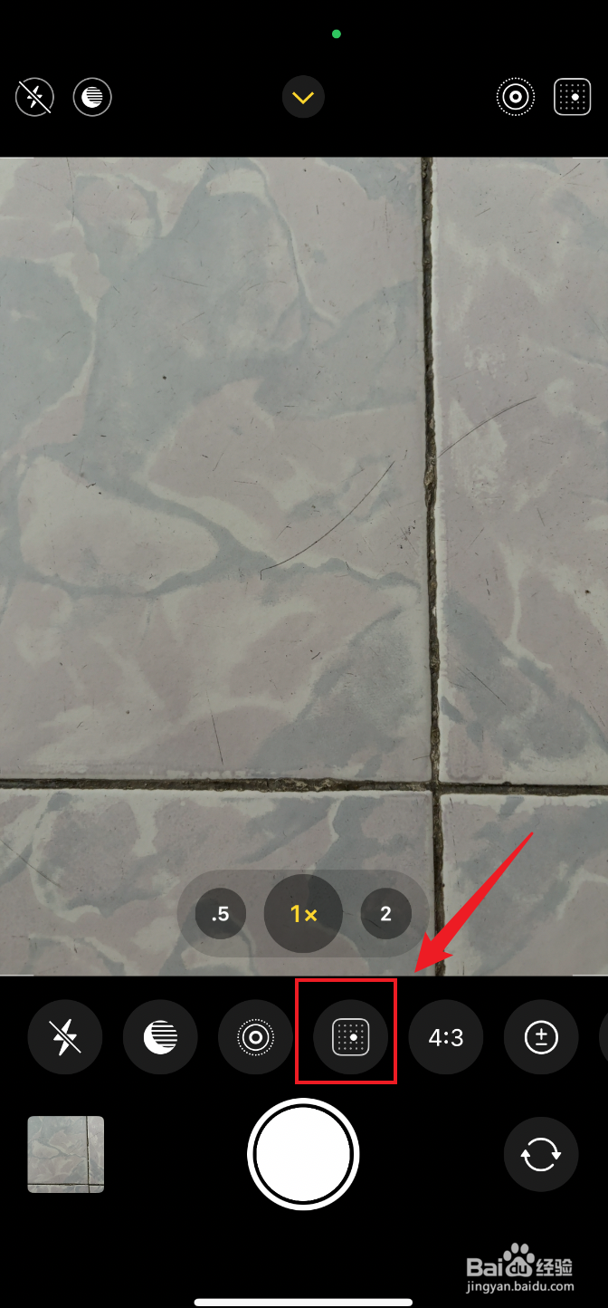 iPhone 16相机如何成冷调玫瑰色摄影风格