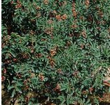 手生冻疮怎么办