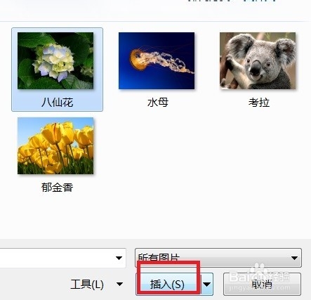 Word如何裁剪照片