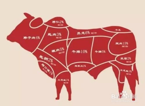 牛身上各部位肉名称 食材 解析 百度经验