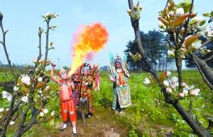 重庆去哪里看花拍婚纱照