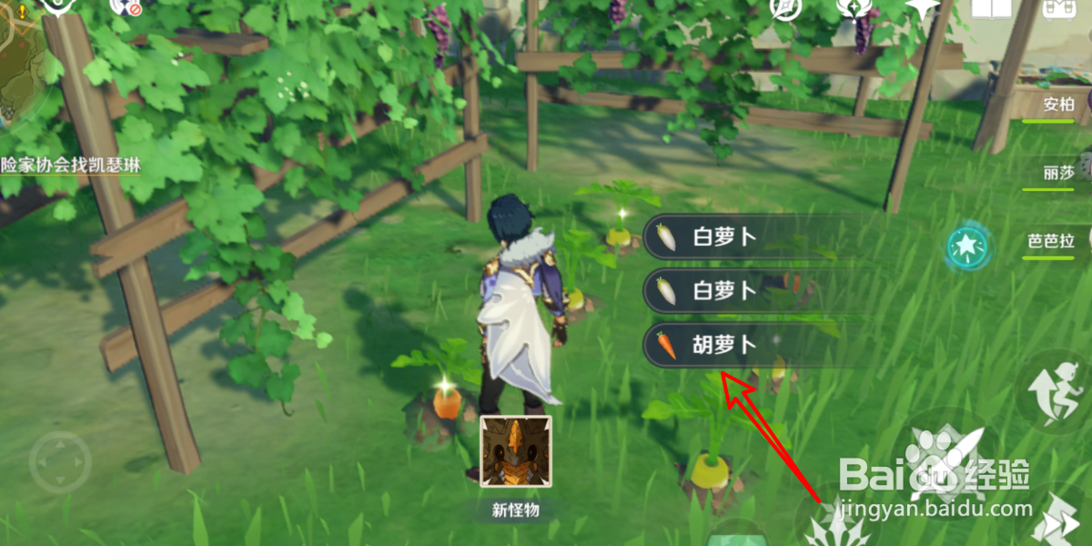 原神胡萝卜怎么大量获得