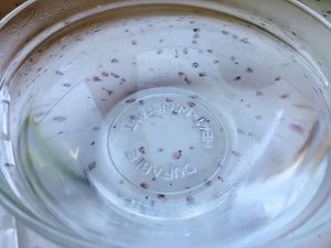 健康养生佳品拔丝芋头的做法
