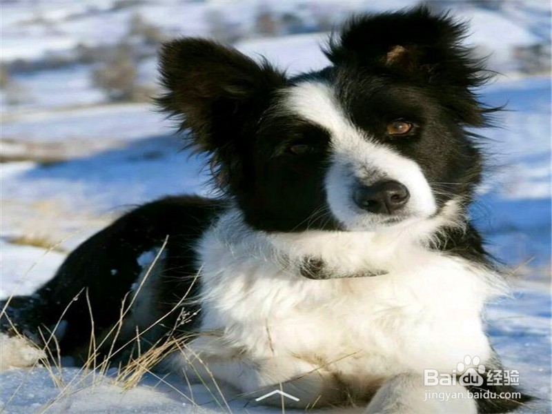 身体困乏怎么办