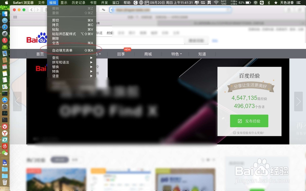 safari自动填充表单 Safari自动填充密码怎么用