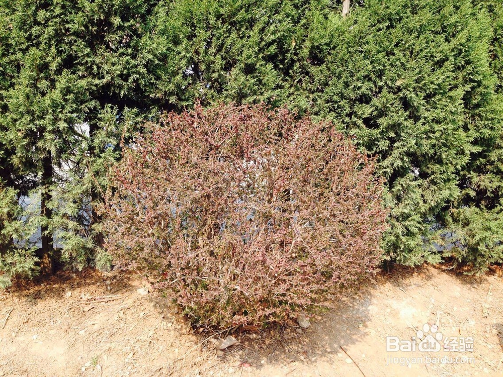 怎样给外面的流浪猫喂食?