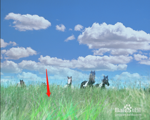 PS如何在通道中存储和应用选区