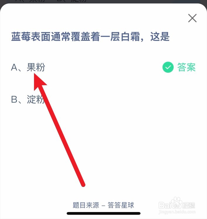 蚂蚁庄园1月2蓝莓表面通常覆盖着一层白霜