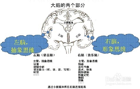 怎样提高记忆力——经验分享