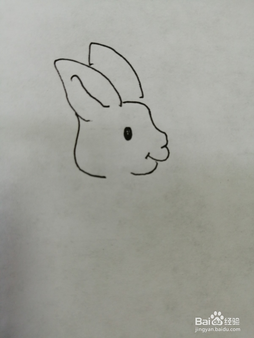 可爱的小兔子怎么画