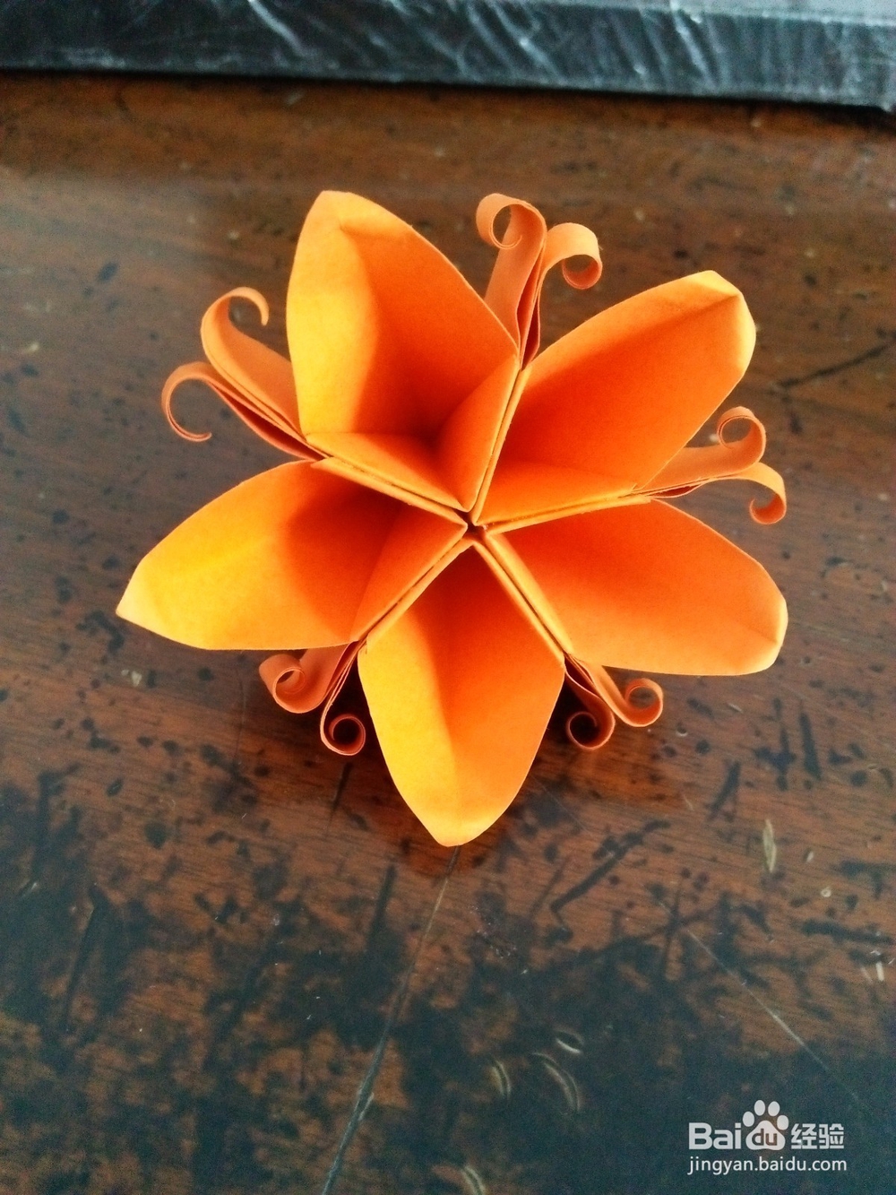 <b>蝴蝶花如何用纸来折</b>