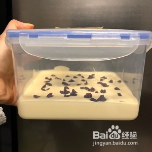 简易版自制冰激淋(无冰渣)的做法