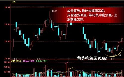 分享黑马股票的几个特征