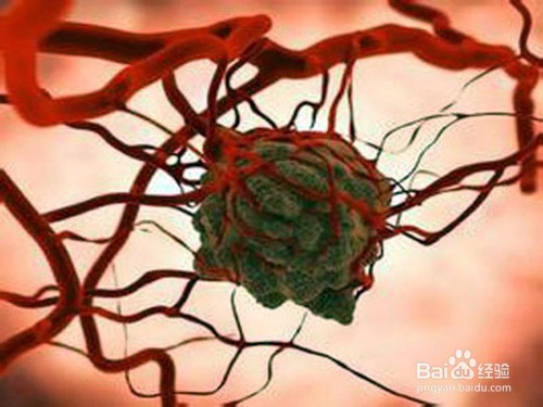 红景天怎么吃？红景天有哪些功效与作用？