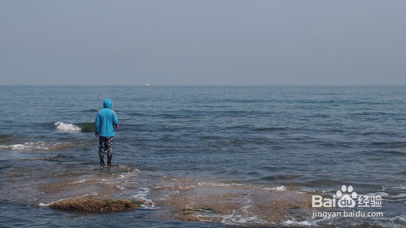 大中型水库钓鲤鱼的技巧教学