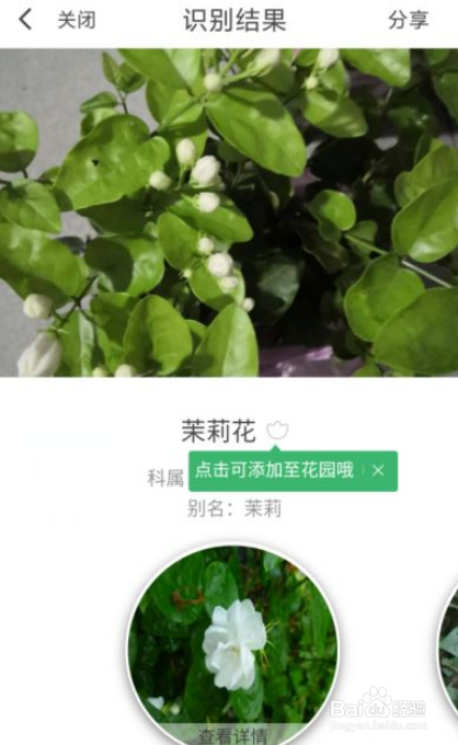 怎么使用翼支付的拍照识花功能