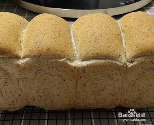 黑麦中种的做法